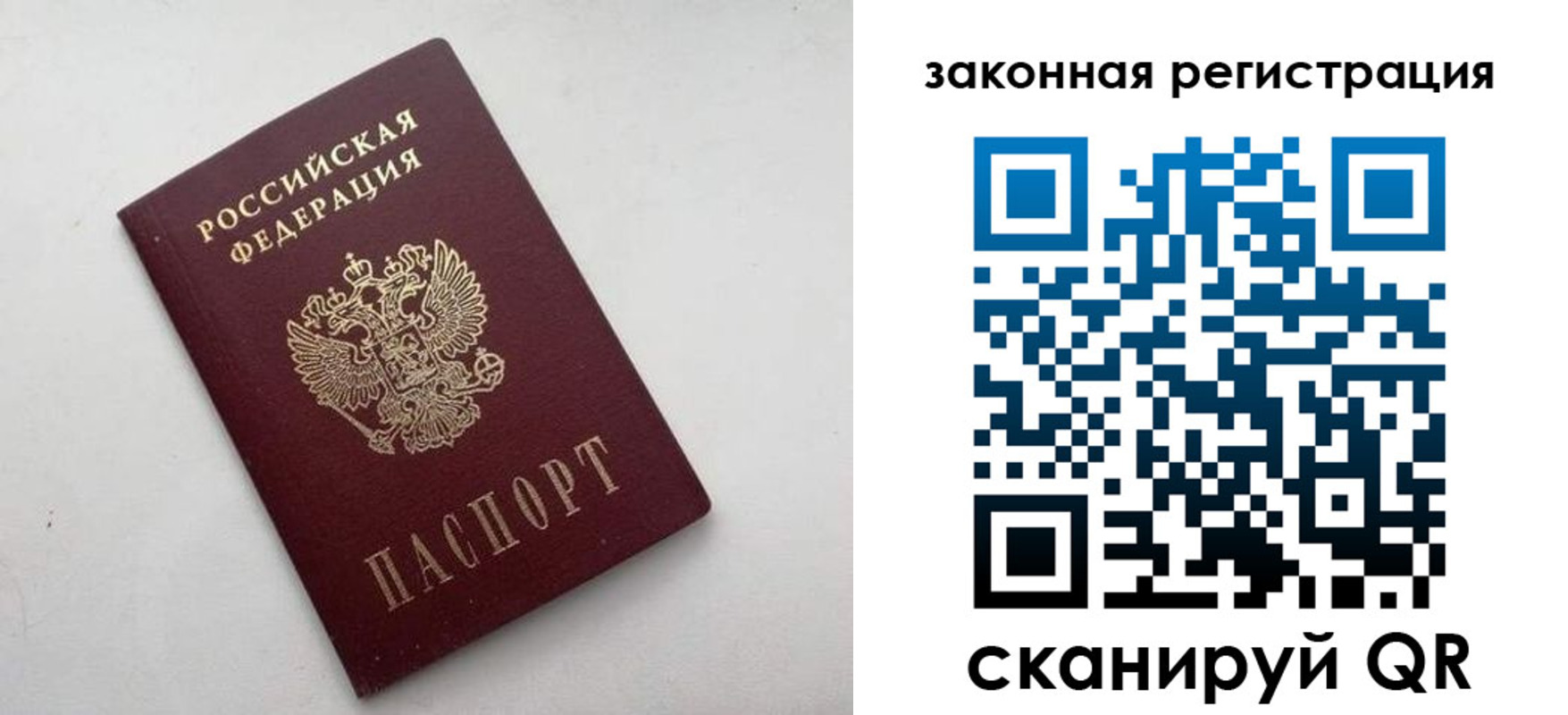 прописка гарантия в Зее